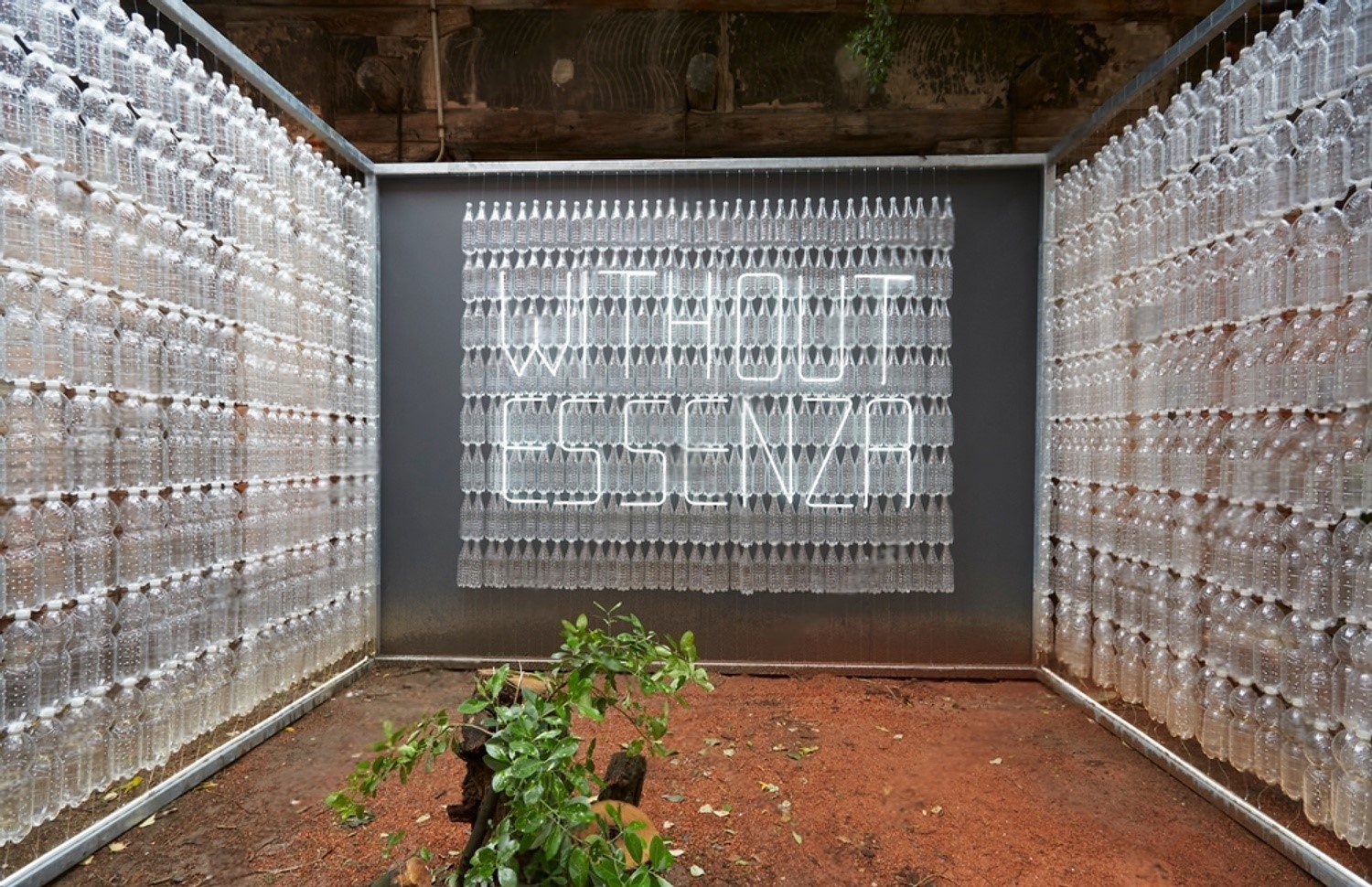 A Look Back The Legacy of the Biennale