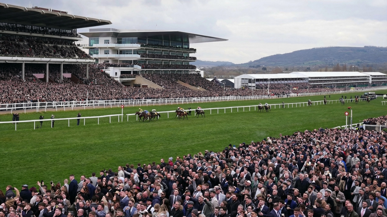 cheltenham-festival-2026-travel-parking-and-vip-arrival