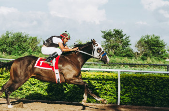 Sandown Park Racecourse